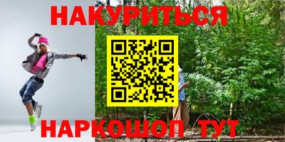 крисы Будённовск